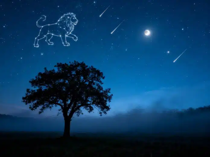 Künstlerische Darstellung der Leoniden